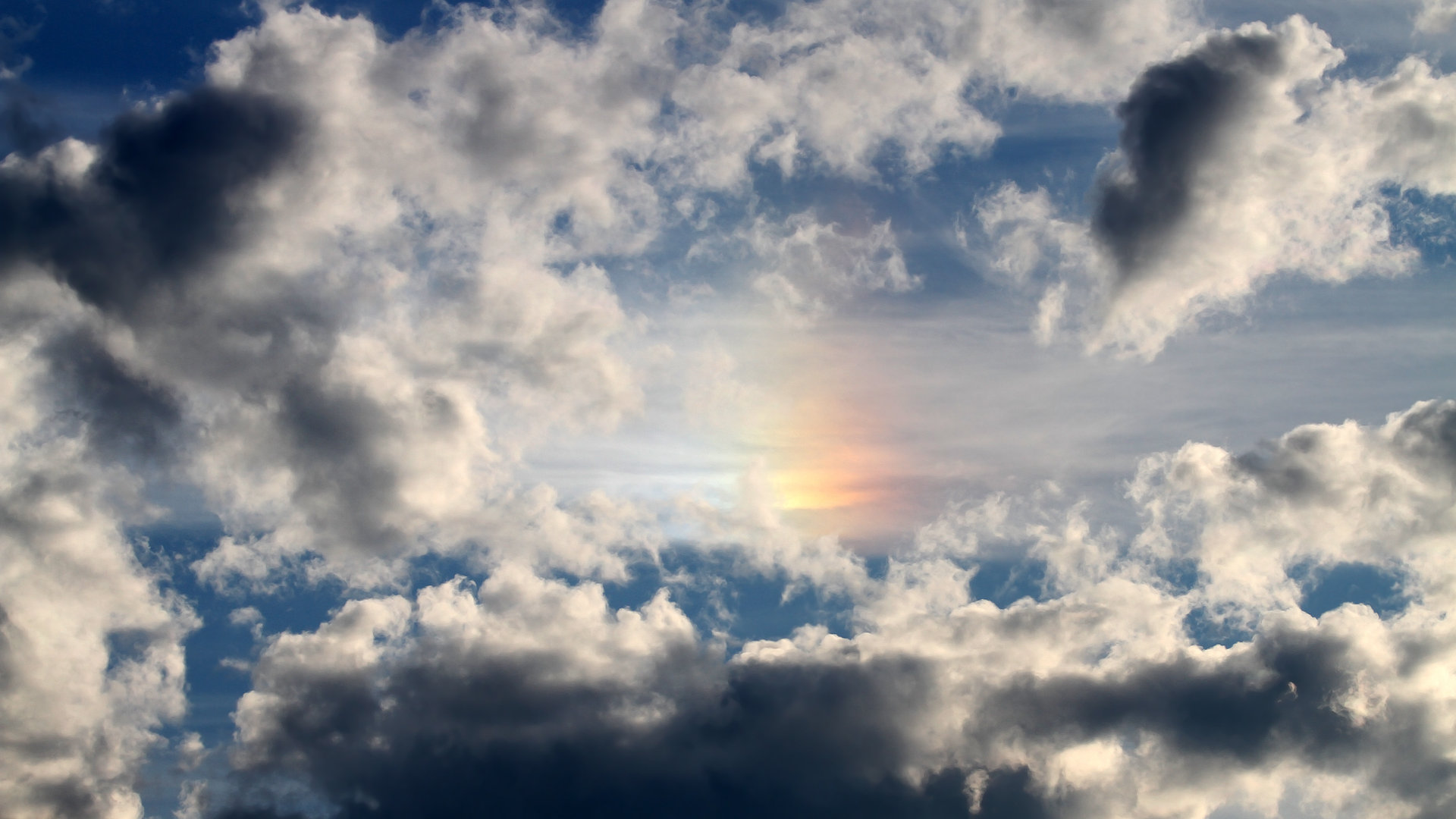 熊猫体育app下载-世界选手划频差异形成多元战术