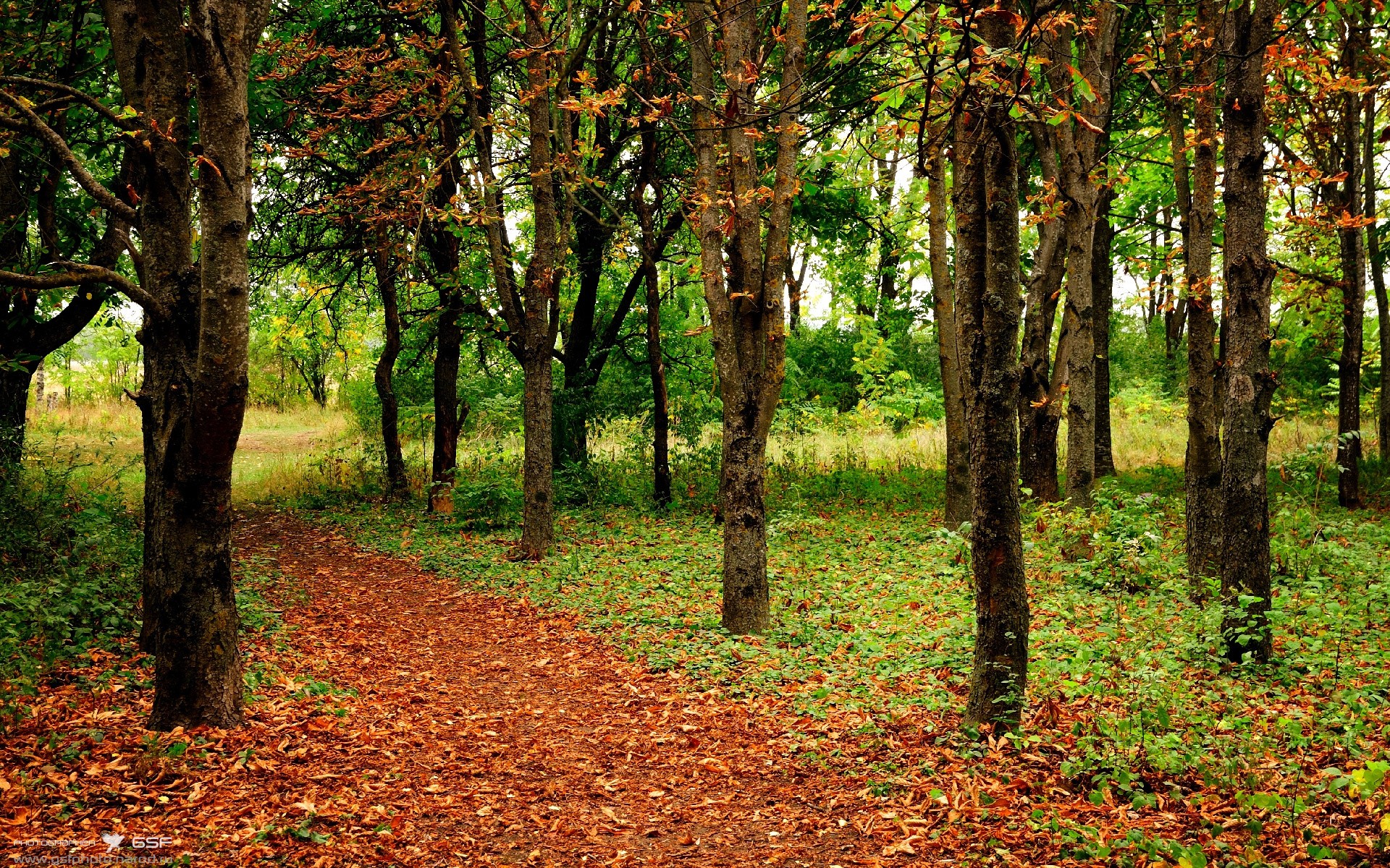 印度队未来：加大资源投入，打造世界级乒乓球队伍，印度乒乓球员