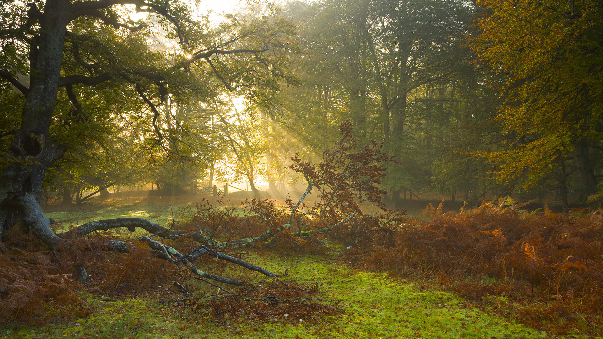熊猫体育在线官网-场馆节能改造结合智能照明系统推进，智能化场馆建设