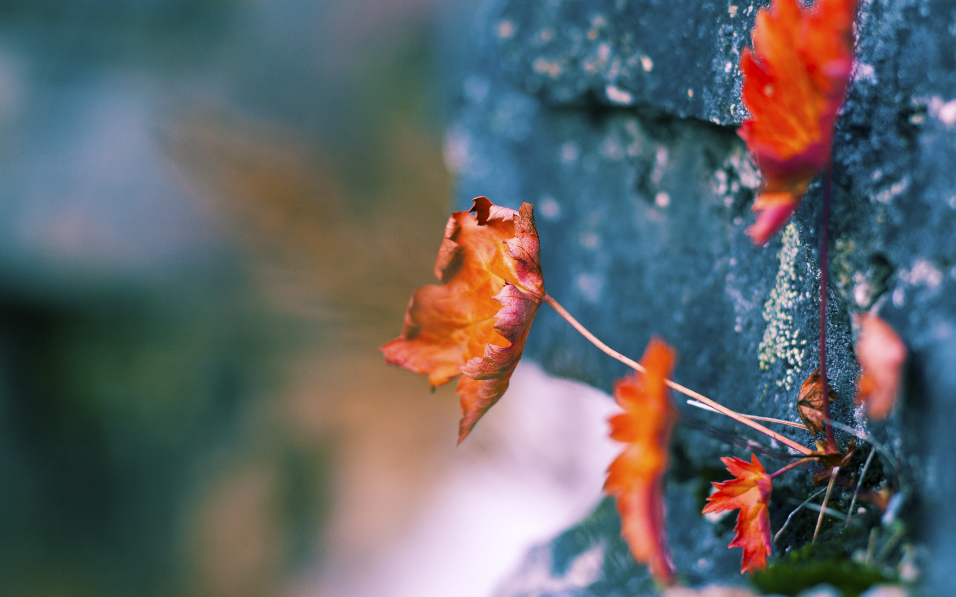 技术统计显示控球率提升带动整体进攻效率显著提高，控球率能说明实力吗