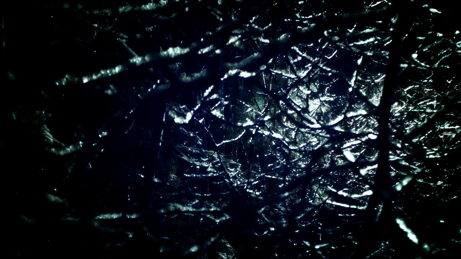 新西兰全黑队的传球速度与精准度，让对方难以应对，新西兰篮球ds