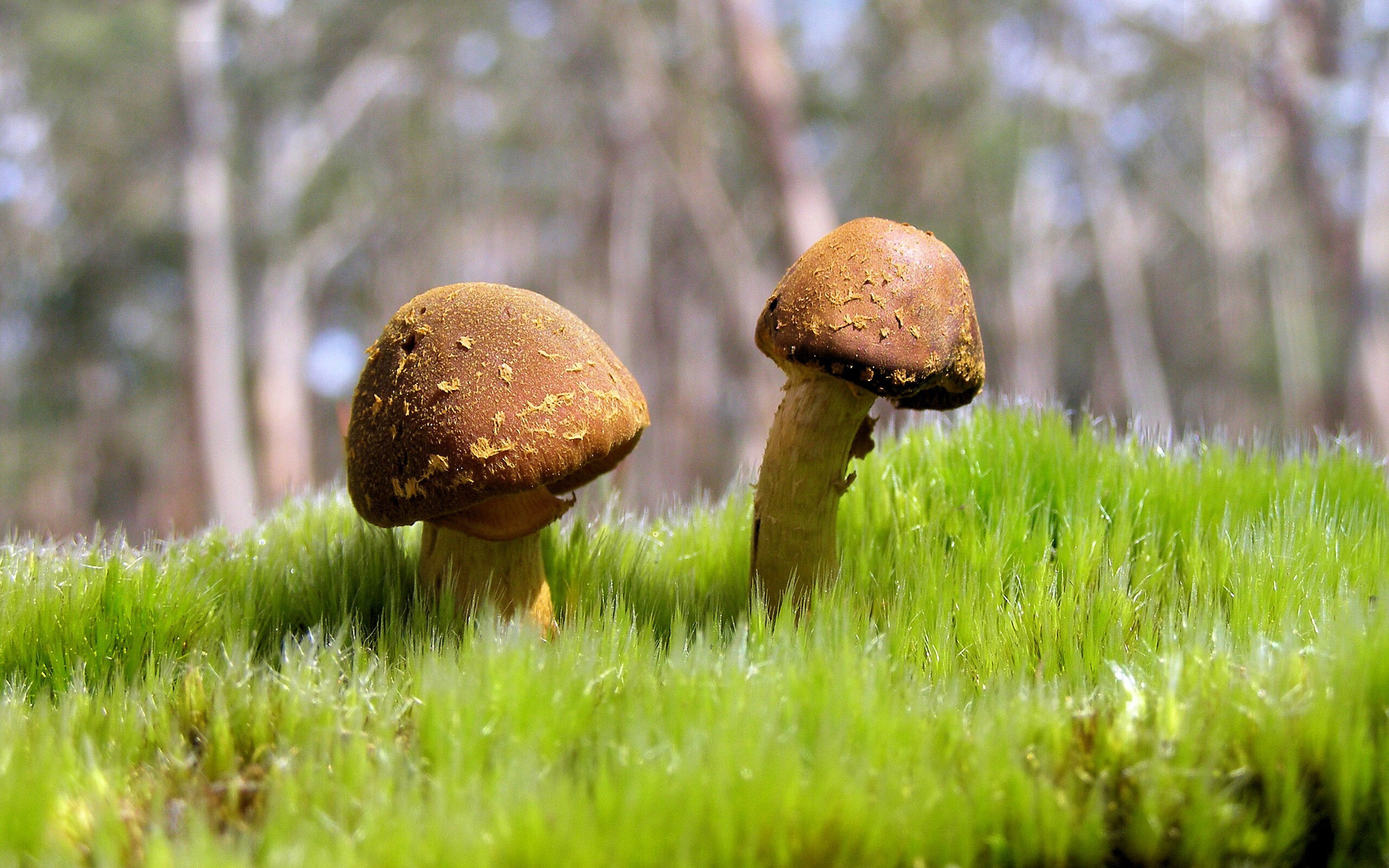 足球运动走进乡村,助力农村地区青少年体育发展,村级足球场 乡村振兴