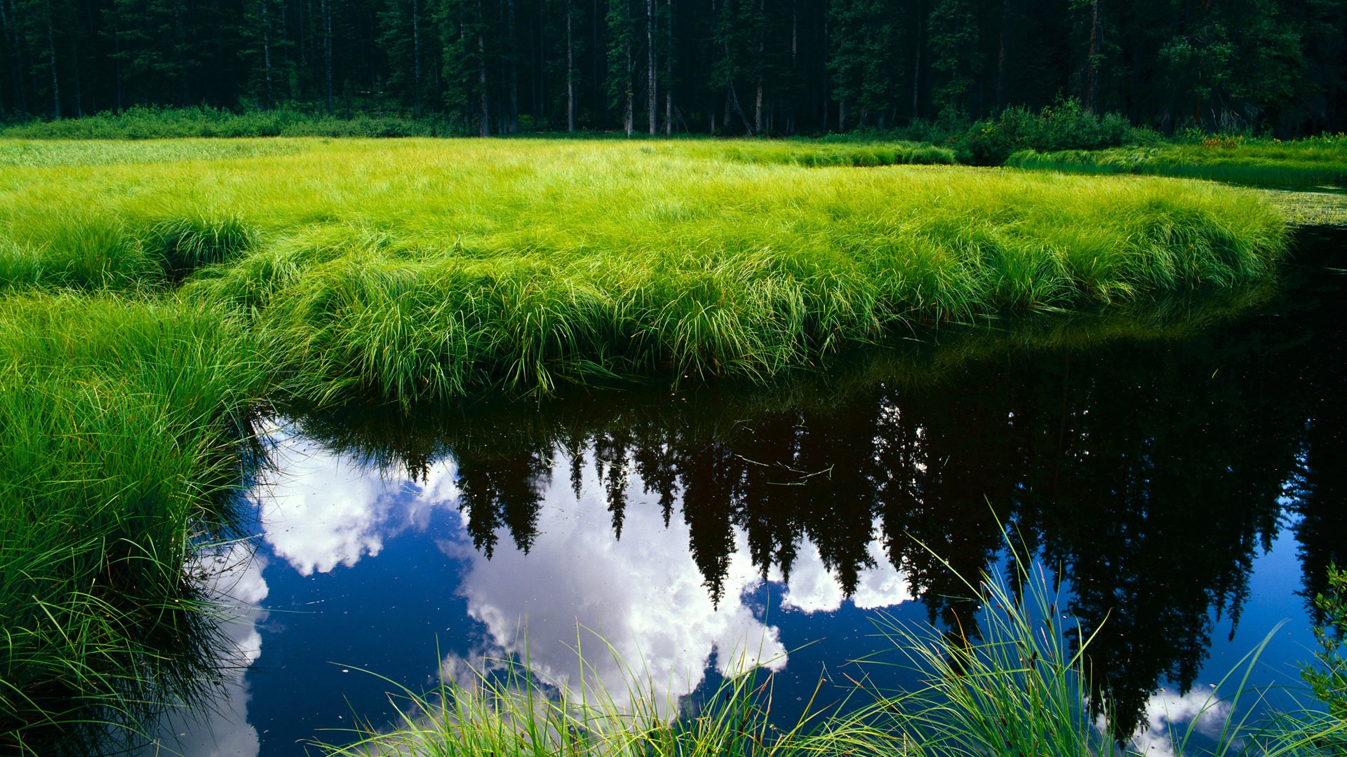 熊猫体育APP-马尔尚200米个人混合泳决赛表现超预期，马尔尚冰球